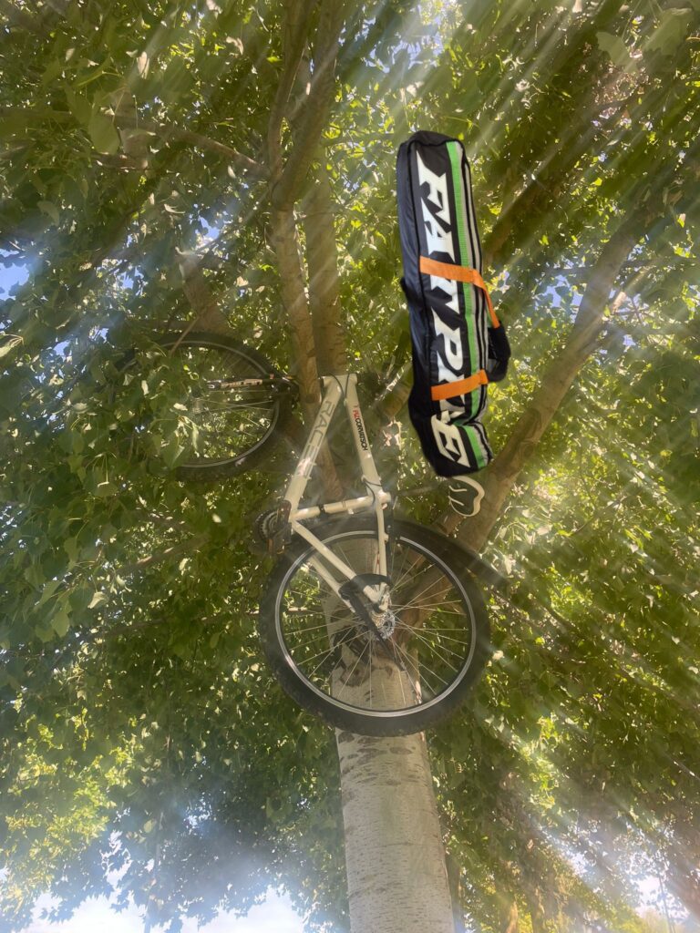 Simis Tasche im Baum ;-)